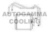 AUTOGAMMA 104771 Heat Exchanger, interior heating